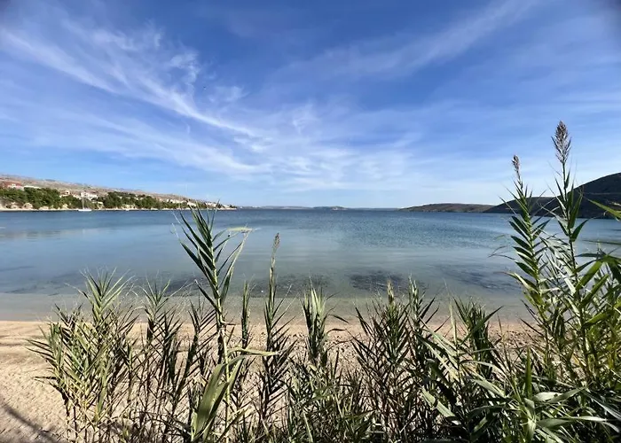 Filmaris * Vlašići